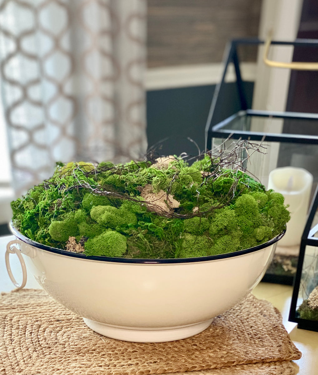 Moss in Linear White Bowl