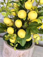 Load image into Gallery viewer, Lemon Tree

