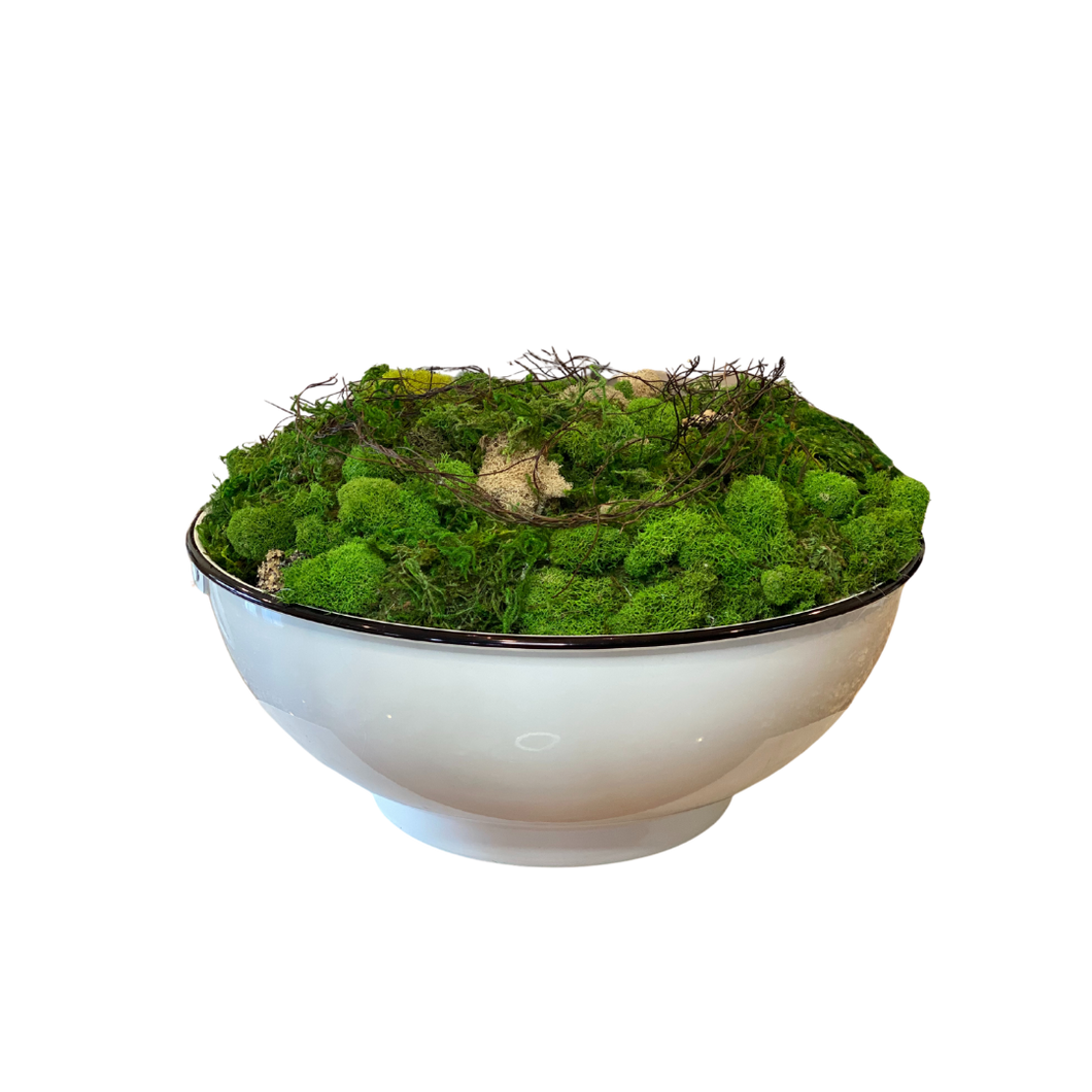 ONE OF A KIND WHITE  MOSS BOWL