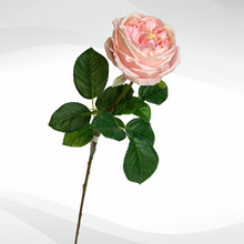 Load image into Gallery viewer, REAL TOUCH CABBAGE ROSE (3x Stems)
