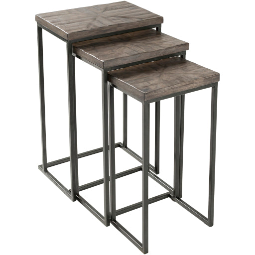 TROY NESTING TABLES - GRAY