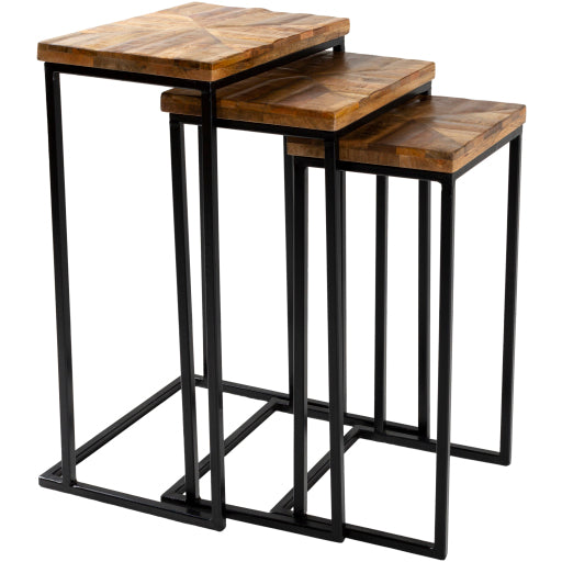 TROY NESTING TABLES - BROWN